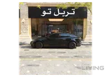 تسلا موديل 3 الأداء 2024